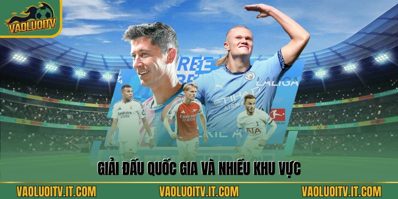 Giải đấu quốc gia và nhiều khu vực