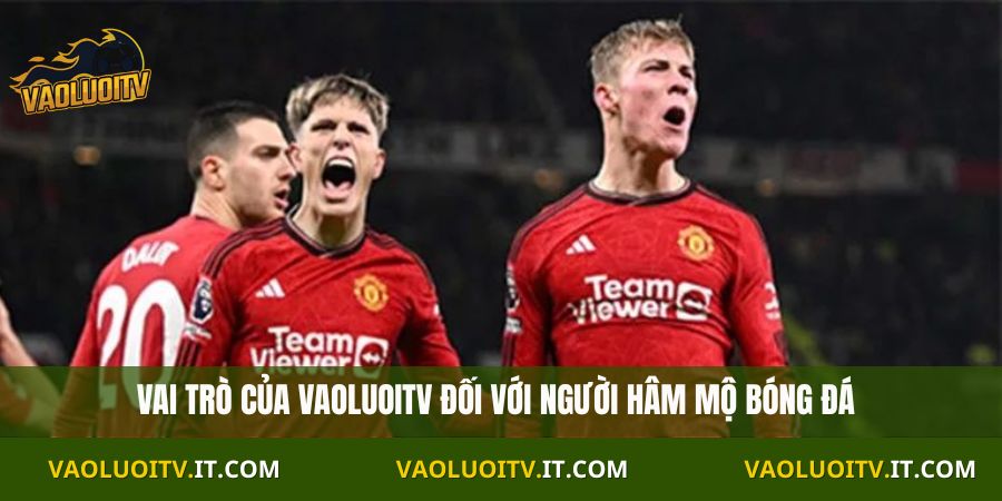 Vai trò của Vaoluoitv đối với người hâm mộ bóng đá